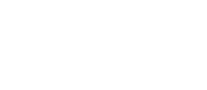 Nessense